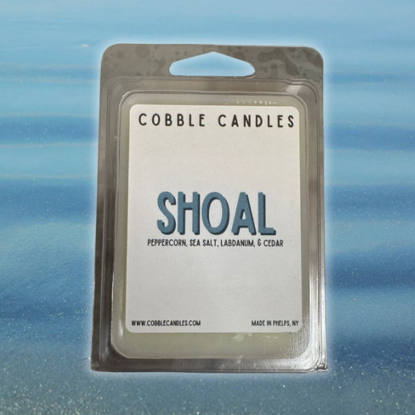 WAX MELTS (Summer Collection)