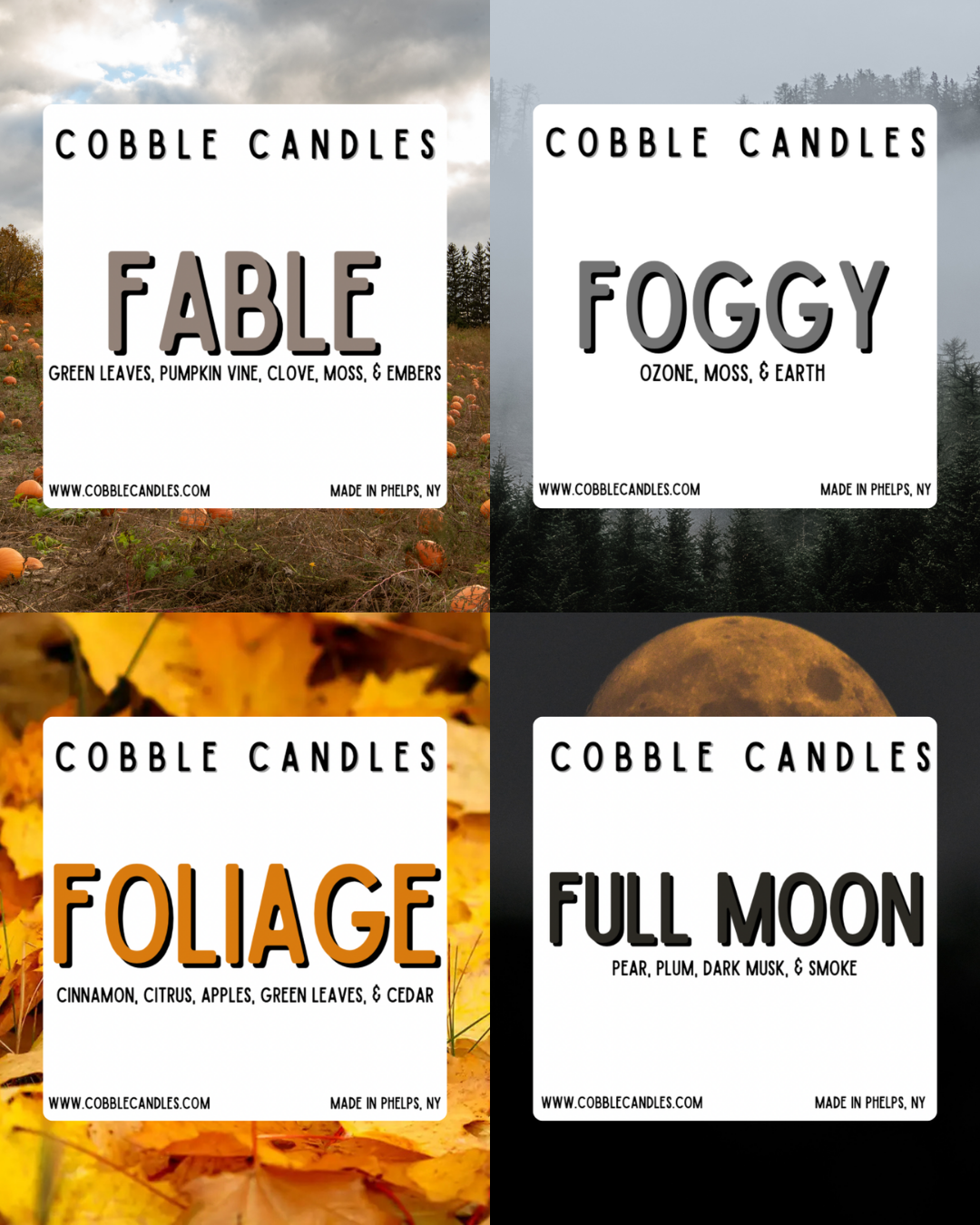 Fall Collection