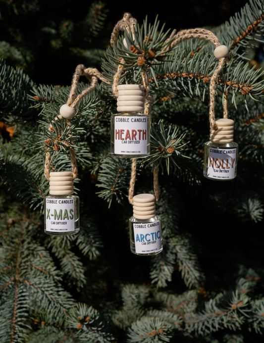 Winter Car Diffusers