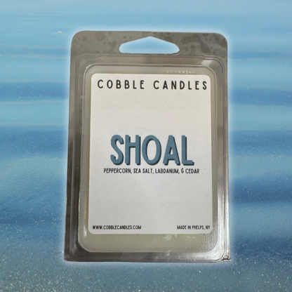 WAX MELTS (Summer Collection)